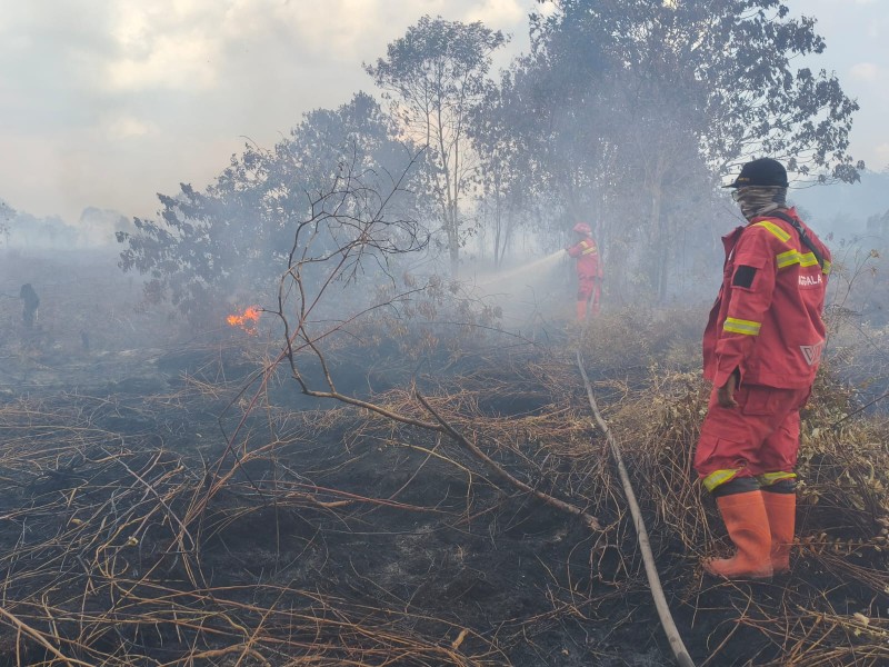 Semakin Meluas, Drone Petakan 80 Hektare Lahan Pematang Pudu Terbakar.