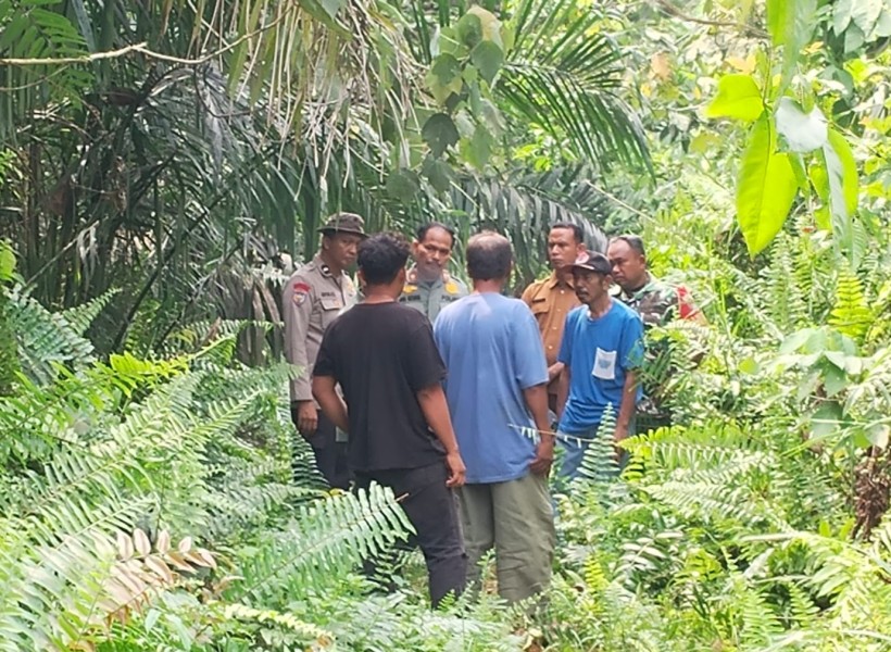 BBKSDA Riau Pastikan Foto Harimau di Pasir Putih Kampar Hoaks