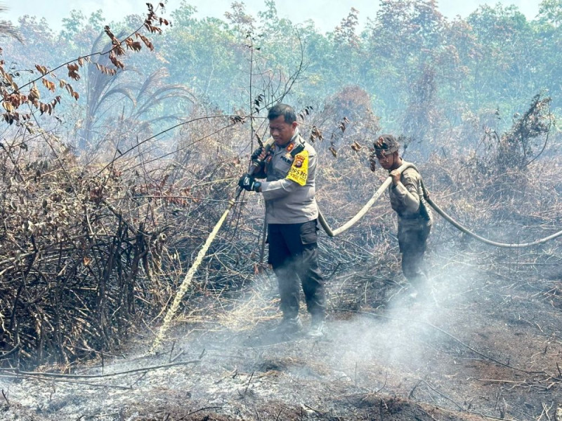 Ini Daftar 8 Daerah di Riau Tetapkan Status Siaga Darurat Karhutla