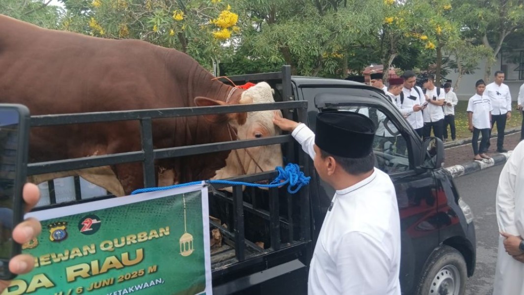 Polda Riau Salurkan 151 Sapi dan 48 Kambing Kurban ke Masjid dan Pesantren