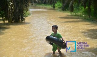 Curah Hujan Tinggi, Tiga Kabupaten di Riau Siaga Darurat Banjir