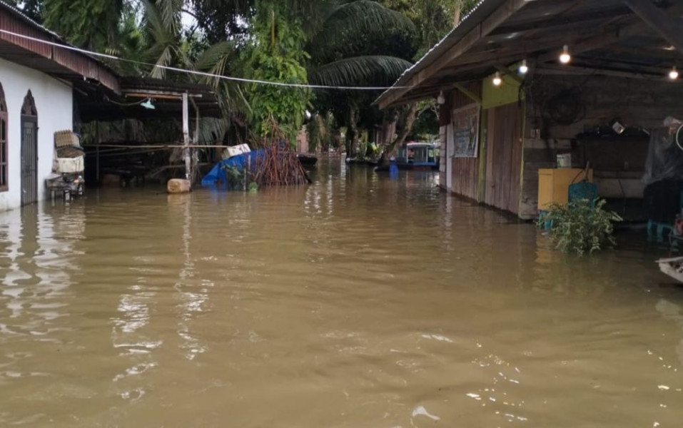 319 Rumah di Desa Wisata di Riau Ini Terendam Banjir Akibat Luapan Sungai Kampar
