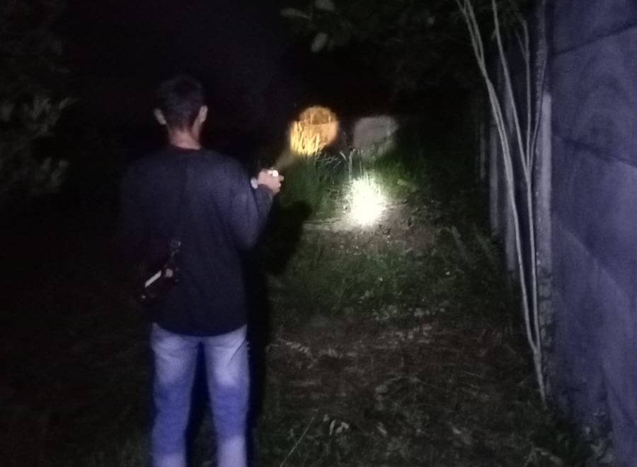Rombongan Gajah Liar Muncul Dekat Permukiman Warga Rumbai, BBKSDA Riau Lakukan Mitigasi