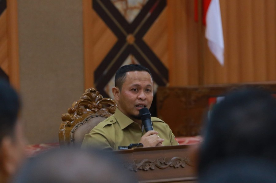 Jadi Jalur Hijau, Wako Pekanbaru Tegaskan Jalan Sudirman Harus Bebas dari Reklame