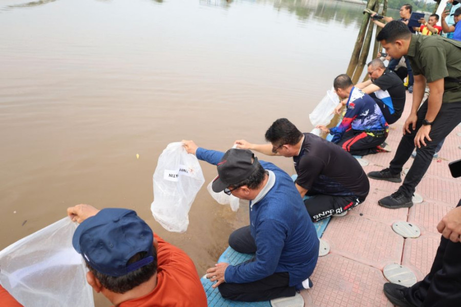 Pemkab Siak Tabur 20 Ribu Benih Patin, Jaga Kelestarian Sungai Siak