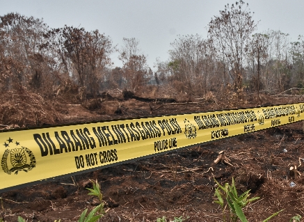 3.394 Hektare Lahan Terbakar di Riau, Polda Tetapkan 65 Tersangka Karhutla