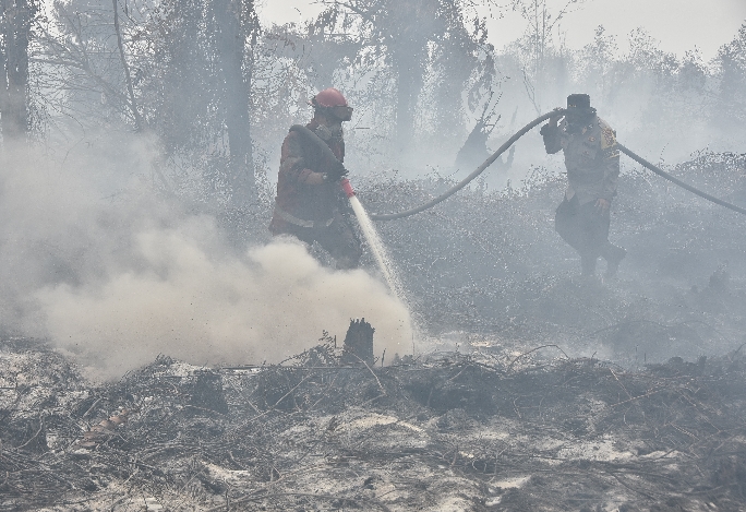 1.685 Hotspot Terdeteksi di Sumatera, Riau Hanya Tiga Titik