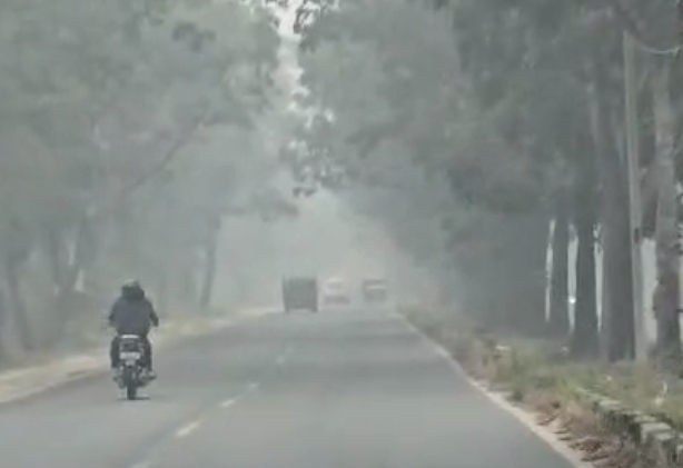 Kabut Asap Kembali Selimuti Riau, BMKG Ungkap Potensi Kiriman dari Wilayah Selatan