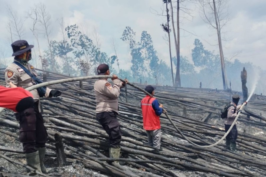 Taman Nasional Teso Nila Terbakar Seluas 5 Hektare