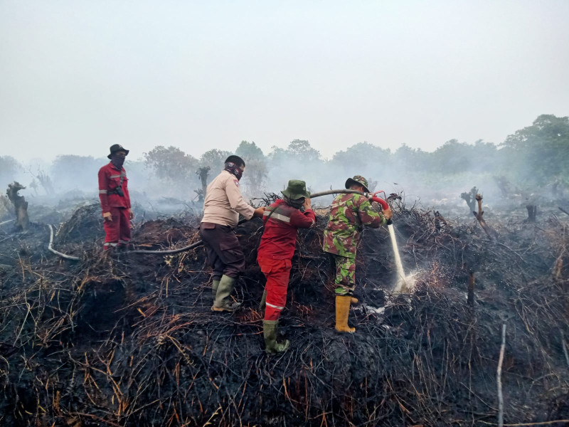 Hari ke-5 Karhutla di Rimbo Panjang, 4 Hektar Lahan Terbakar