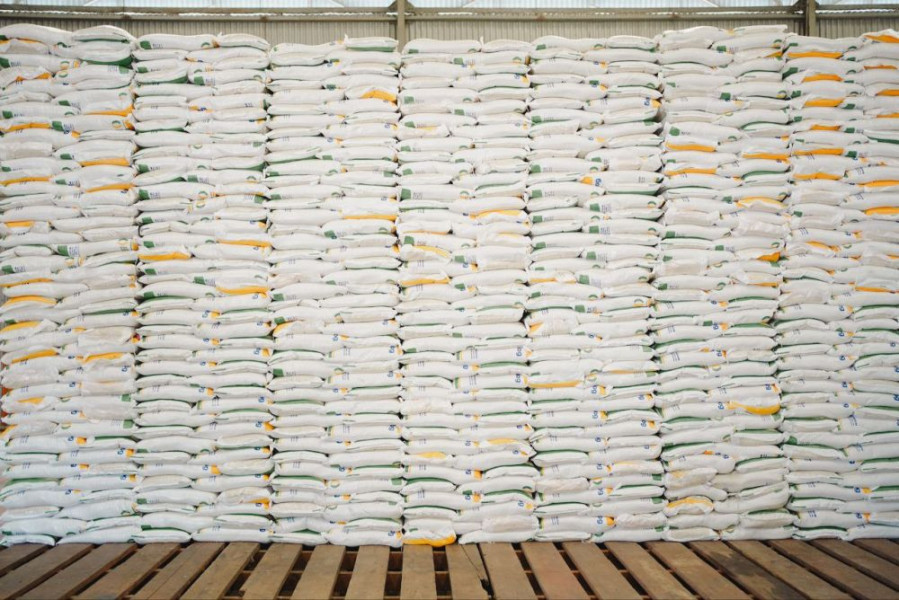 Bulog Pastikan Stok Beras Riau Aman Hingga 8 Bulan ke Depan