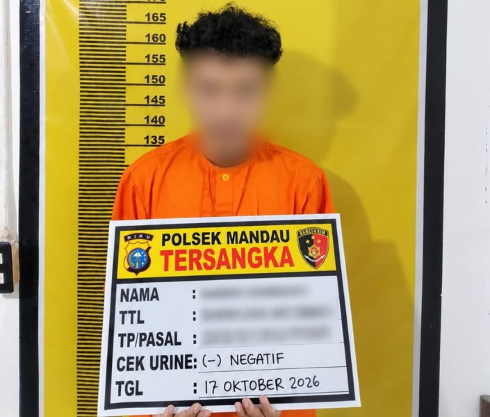 Diduga Terlibat Persetubuhan Anak, Pria 26 Tahun Ditangkap di Kafe Mandau