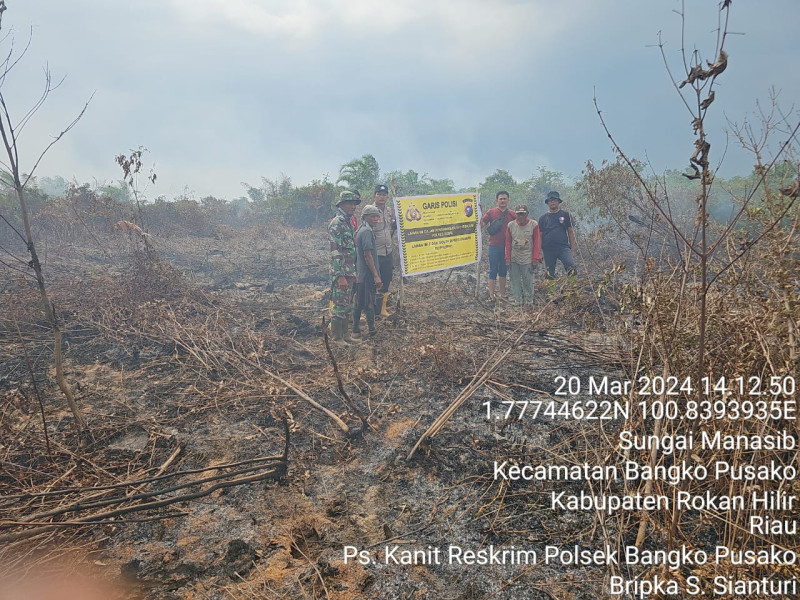 Diduga Pembakar Lahan Diringkus Polres Rohil