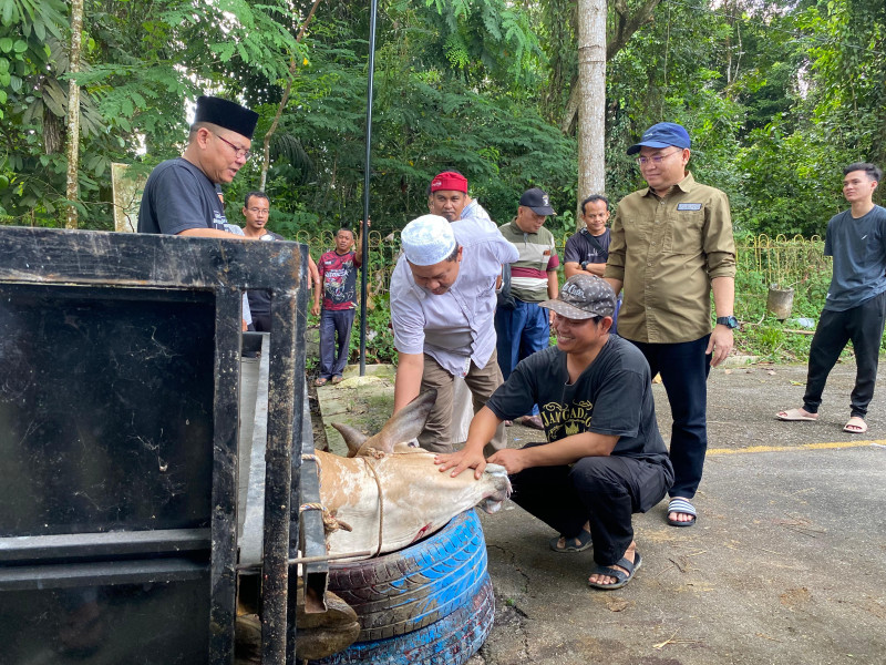 Warga Rumbai Senang Menerima Daging Kurban Dari Mesjid Al Fatah Unilak