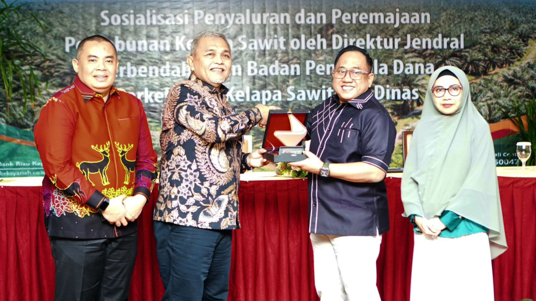 Sudah Rp 23,6 Miliar Tersalurkan, BRK Syariah Buka Peluang Besar untuk Petani Mendapatkan Dana Peremajaan Sawit