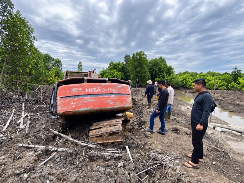 111,77 Hektare Kawasan Mangrove di Dumai Diduga Dirambah, Polisi Tetapkan Satu Tersangka