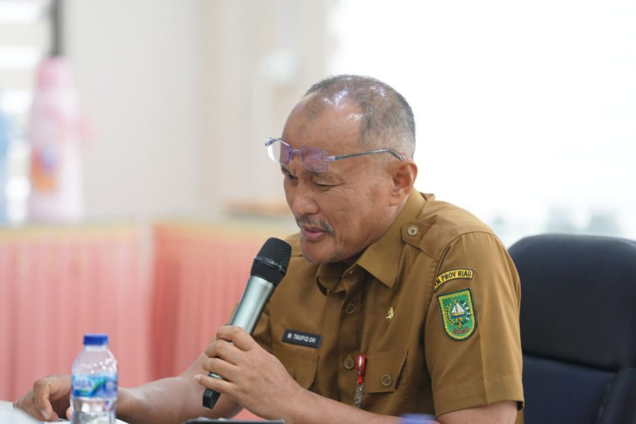 Pembangunan Jembatan Bengkalis-Bukit Batu Segera Masuk Proyek Strategis Nasional