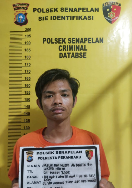 Pengedar Ganja Dibekuk  Saat Transaksi di Kamter