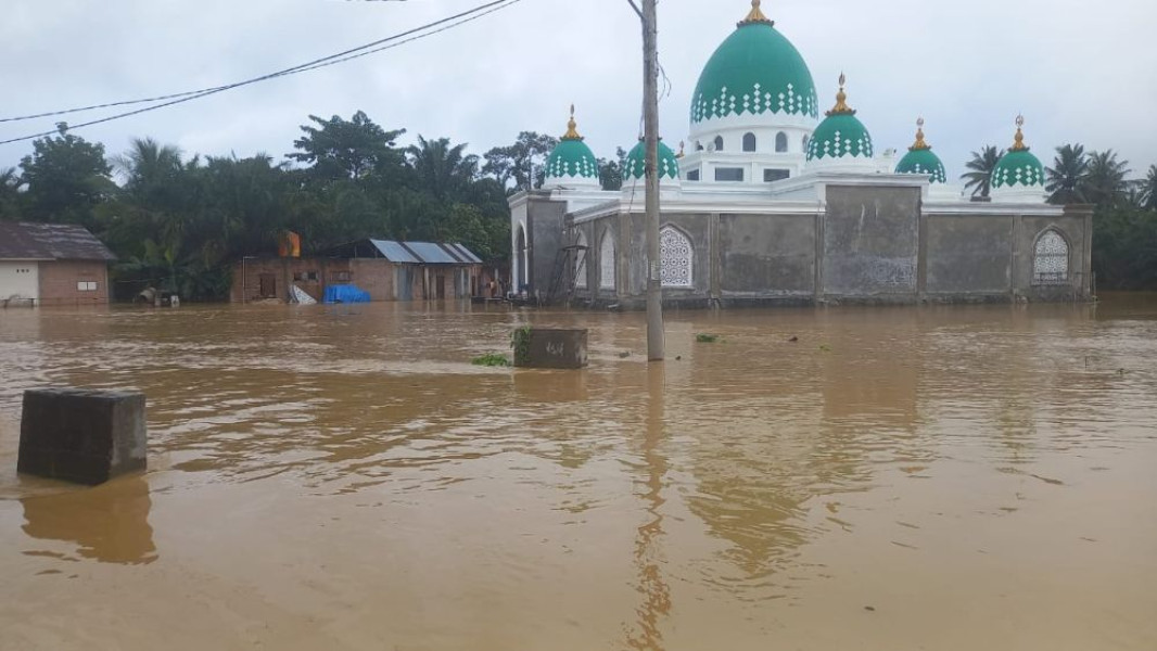 Empat Kabupaten di Riau Terendam Banjir, Tinggi Air Capai Sampai Atap Rumah
