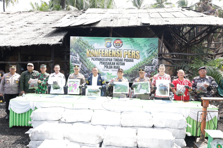 Dua Tersangka Diamankan, Polda Riau Bongkar Dapur Arang Mangrove di Rupat