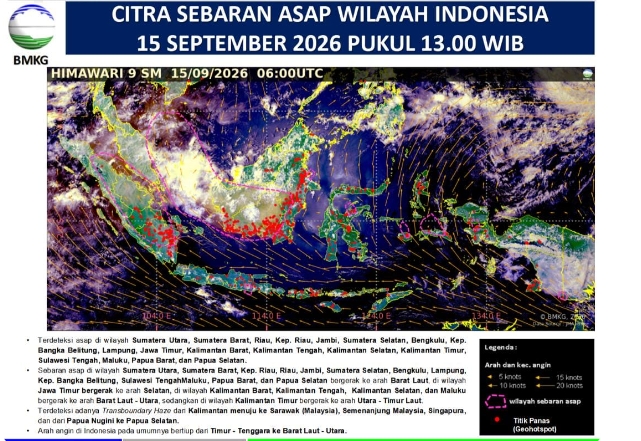 Asap Selatan Sumatera Masuk Riau, Jarak Pandang Turun hingga 0,8 Kilometer
