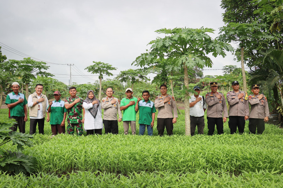 Polresta Pekanbaru Hadiri Panen Raya Jagung Serentak Tahap I Bersama Kapolri Melalui Zoom Meeting