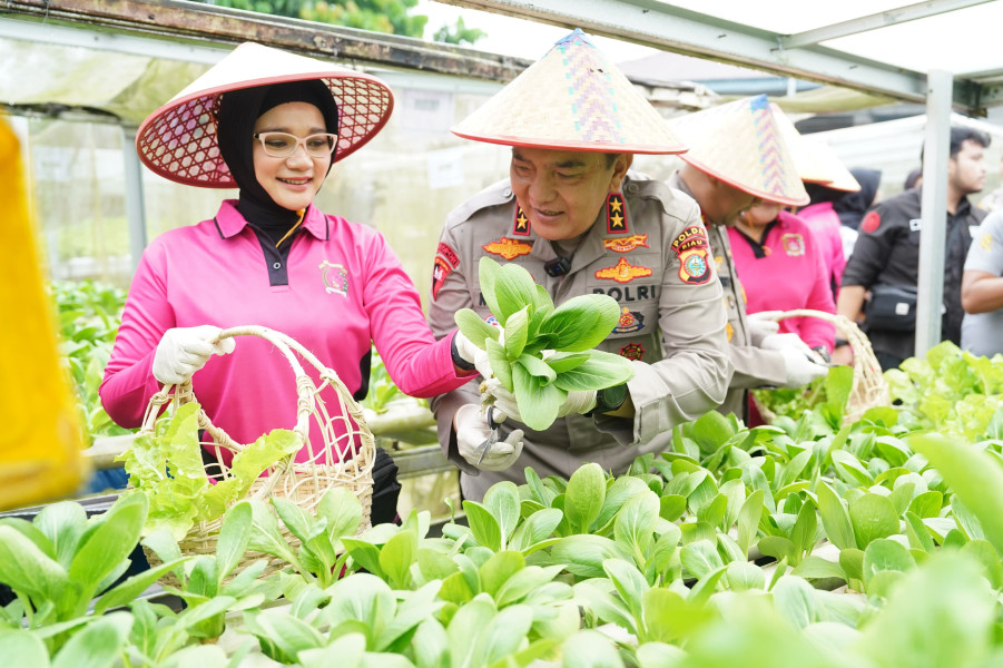 Dukung Program Ketahanan Pangan dan Makanan Bergizi, Kapolda Riau Hadiri Acara Launching P2PL