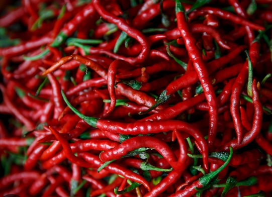 Pasokan Berkurang, Harga Cabai Merah di Pekanbaru Meroket hingga Rp120 Ribu