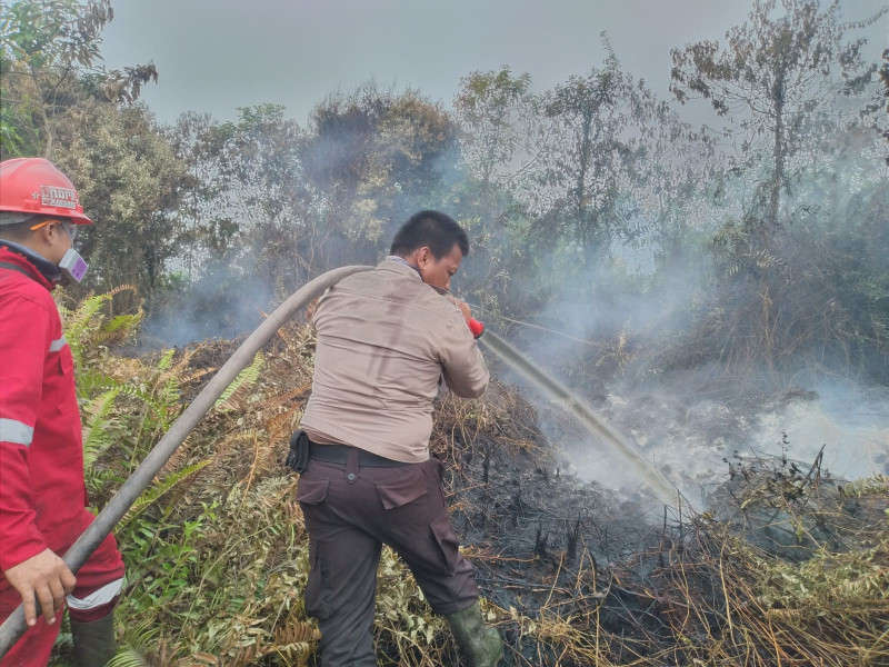 BMKG Catat 21 Hotspot Karhutla di Riau, Rohul dan Inhu Terbanyak