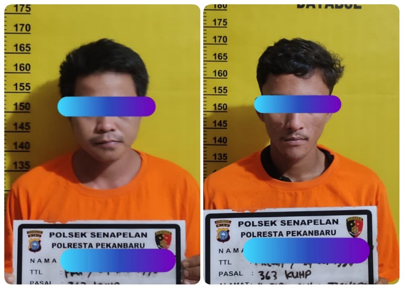 Meresahkan Warga, Dua Komplotan Pencuri Diringkus Polisi