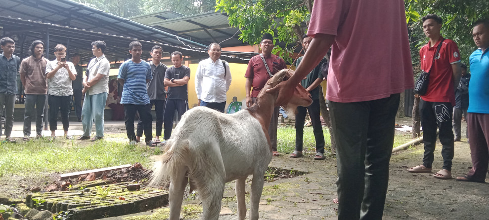 Pusat Studi Halal Unilak dan Pengurus Mesjida Al Fatah Latih Puluhan Mahasiswa Perguruan Tinggi di Indonesia Ikuti Pelatihan Penyembelih Halal Hewan