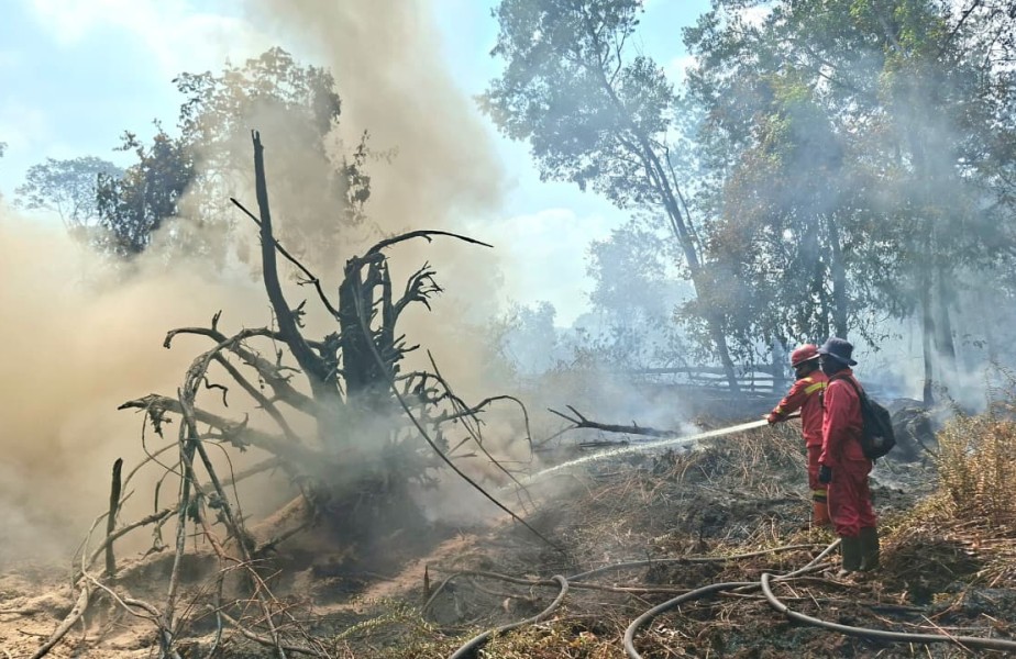Karhutla Riau Capai 15.477 Hektare, Terbesar Kedua di Indonesia