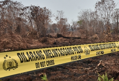 Bakar Lahan untuk Sawit di Suaka Margasatwa Kerumutan, 3 Orang Diamankan Polisi