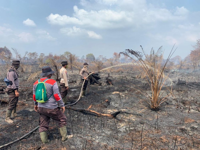 Plt BPBD Siak : Kabupaten Siak Saat ini Nol Titik Api