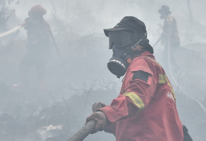 Kasus ISPA di Pekanbaru Melonjak, Dinkes Catat hingga 300 Kasus per Hari Akibat Kabut Asap