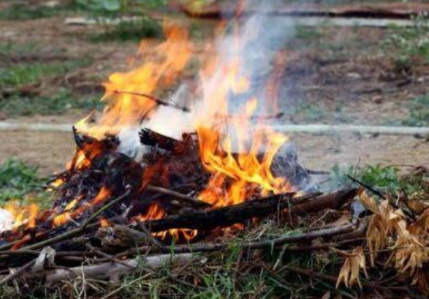 Kemarau Kering, Pemko Pekanbaru Imbau Warga Tak Bakar Sampah Sembarangan