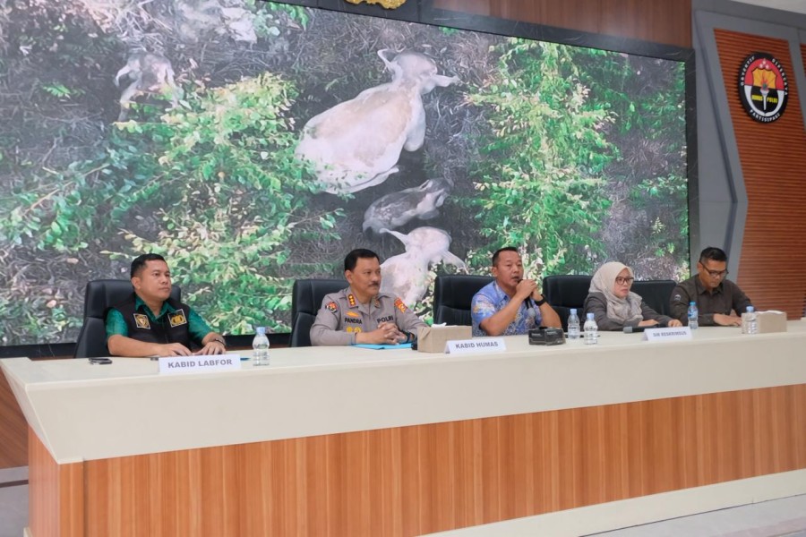 Polda Riau Pastikan Kematian Gajah di Ukui Akibat Tindak Pidana