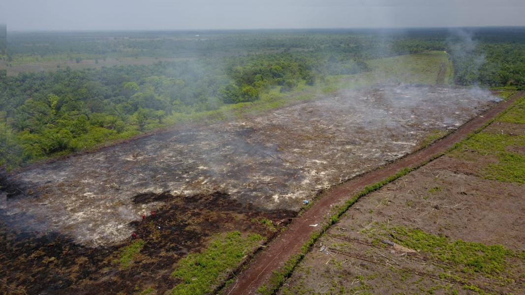 BMKG Deteksi 47 Hotspot Karhutla Riau, 37 Titik di Inhu
